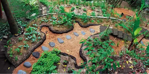 Permaculture garden design with pathways and plants.
