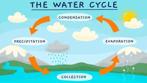 Illustration of the water cycle process diagram.