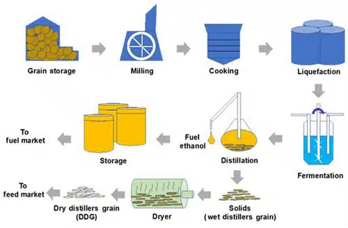 Ethanol production process flowchart from grain to fuel.