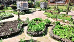 Le guide complet du design en permaculture