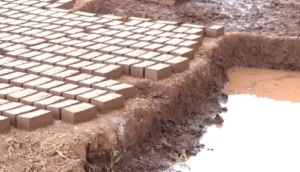 Tierra cruda : guía práctica para una construcción bonita y duradera