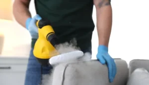 Wie du ganz einfach alles mit Dampf reinigst ohne Reinigungsmittel?